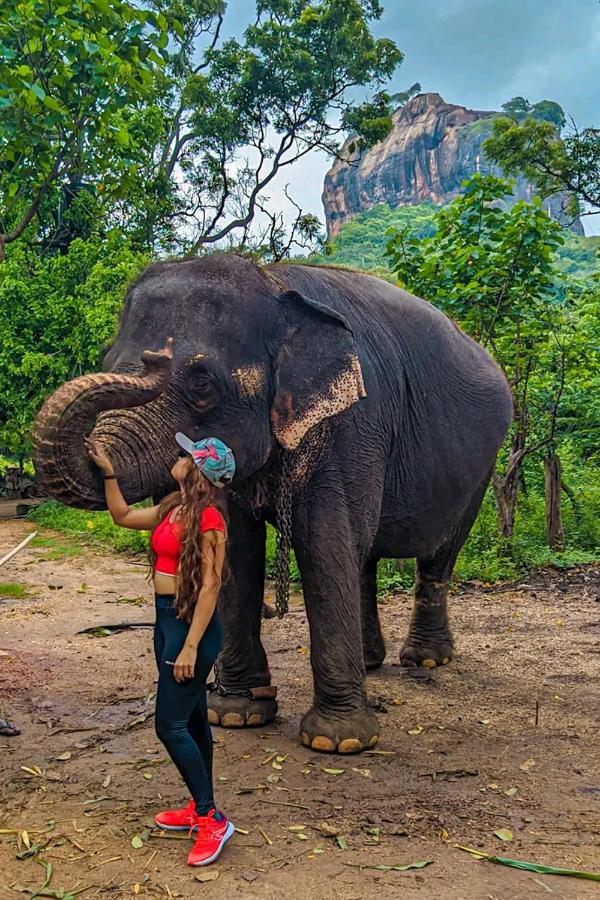 Lakmal Homestay ,10 Minutes To Sigiriya Rock Екстериор снимка