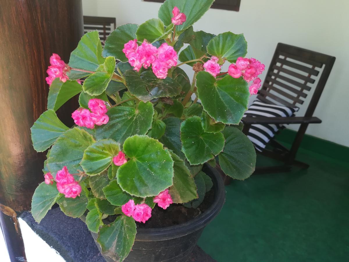 Lakmal Homestay ,10 Minutes To Sigiriya Rock Екстериор снимка