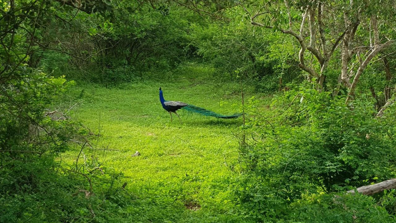Lakmal Homestay ,10 Minutes To Sigiriya Rock Екстериор снимка